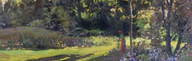 Garden evening light