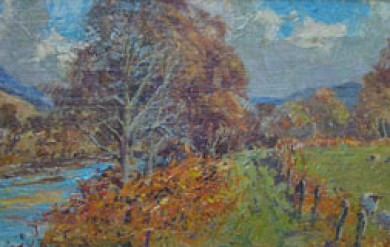 Camisky Lodge & River