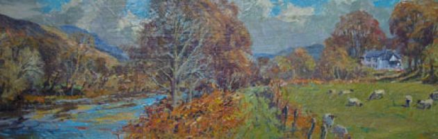 Camisky Lodge & River