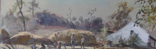 Nagarhole Harvest