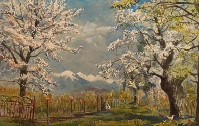 Apple blossom, Brixen