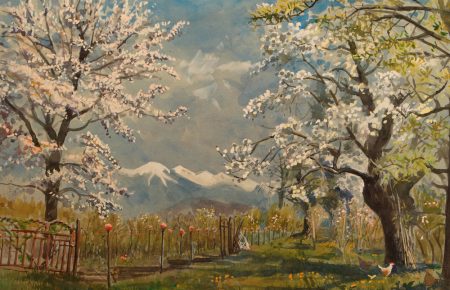 Apple blossom, Brixen