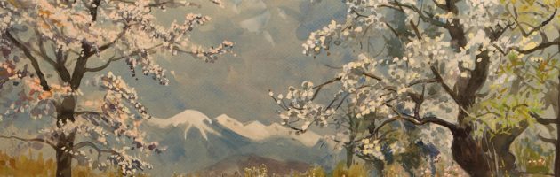 Apple blossom, Brixen