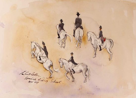 Spanish Riding School Horse Sketches