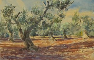 Ancient puglian olives w_c 36x54cm £750