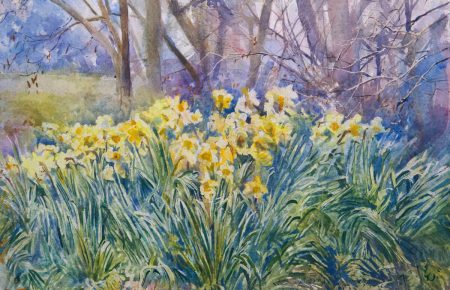 Daffodils 46x59cm w_c £800