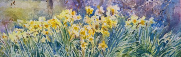 Daffodils 46x59cm w_c £800