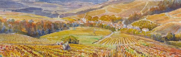 Irancy Burgundy