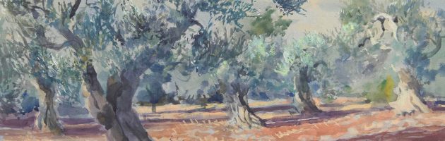 Puglia olives Trullo san Rocco