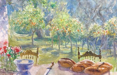 Andalusian orange grove